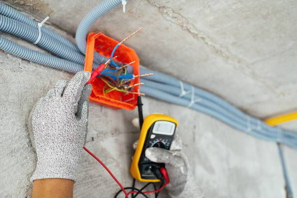 Best Electric Panel Repair  in Whetstone, AZ